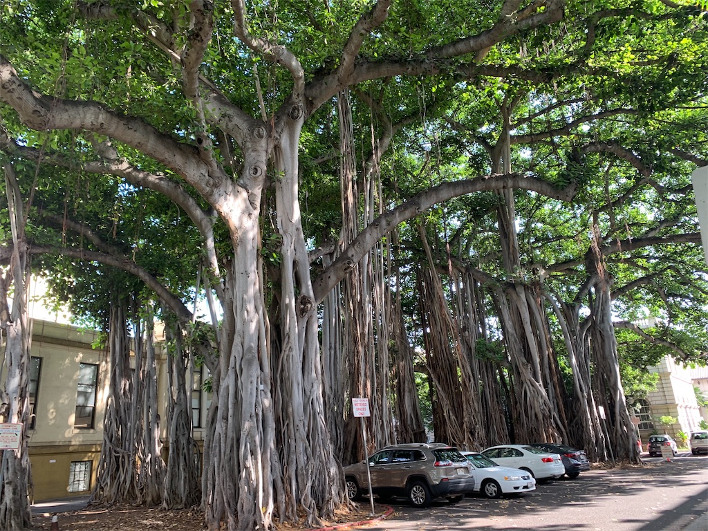 f:id:aso4045:20190810162642j:image