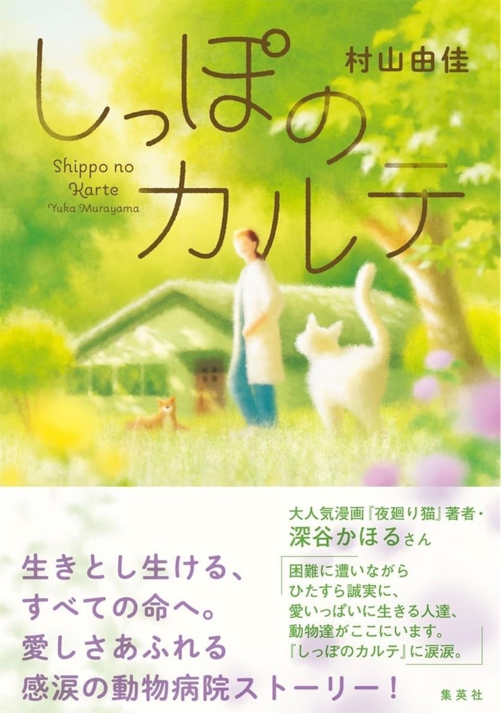 f:id:aso4045:20260122205023j:image f:id:aso4045:20260122205023j:image