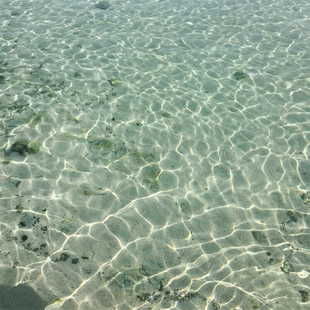 f:id:aso414:20190821144925j:image f:id:aso414:20190821144925j:image