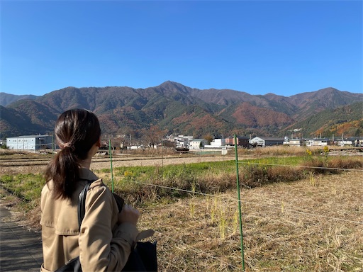 f:id:aso414:20221114223545j:image f:id:aso414:20221114223545j:image