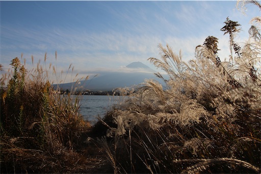 f:id:aso414:20221117183858j:image