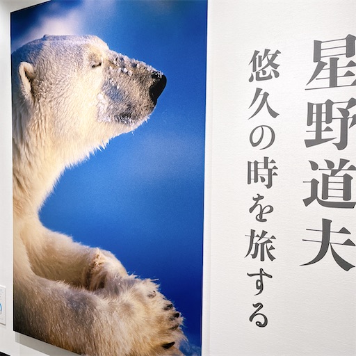 f:id:aso414:20221231104002j:image