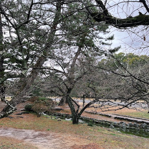f:id:aso414:20230219222010j:image
