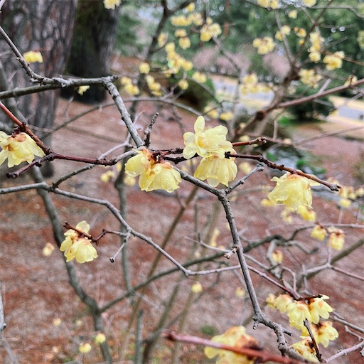 f:id:aso414:20230219222513j:image