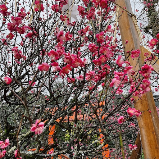 f:id:aso414:20230219222748j:image