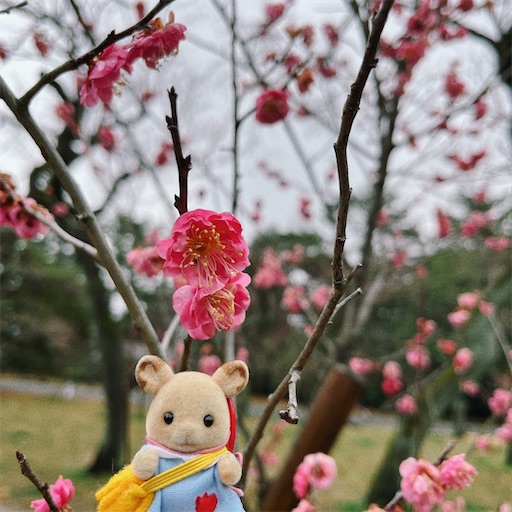 f:id:aso414:20230219223529j:image