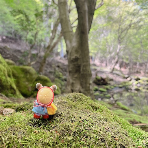 f:id:aso414:20230420195126j:image