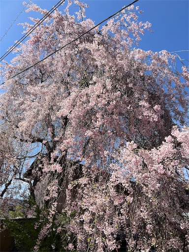 f:id:aso414:20230421173447j:image
