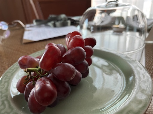 f:id:aso414:20231129175745j:image