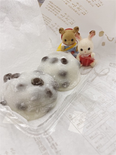 f:id:aso414:20240304093106j:image f:id:aso414:20240304093106j:image