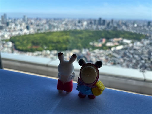 f:id:aso414:20240512115652j:image