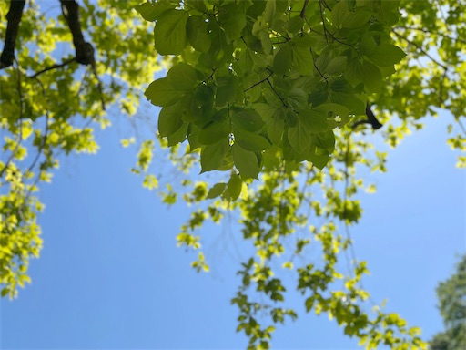 f:id:aso414:20240512115848j:image