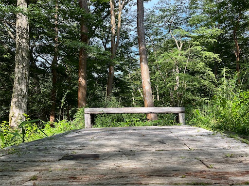 夏の箱根でアート三昧 旅記録 - 稼いだ金全部使うウーマン