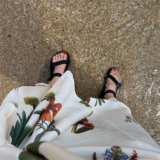 f:id:aso414:20241210131421j:image