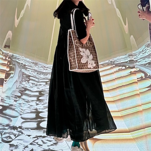 f:id:aso414:20241210131559j:image