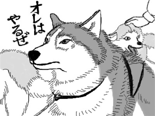 f:id:aso414:20250205220502j:image