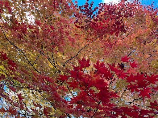 f:id:aso414:20250313183957j:image