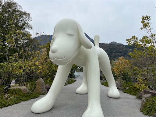 f:id:aso414:20250501105107j:image