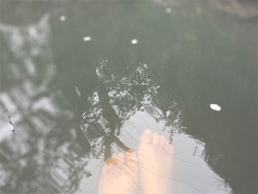 f:id:aso414:20250501105546j:image