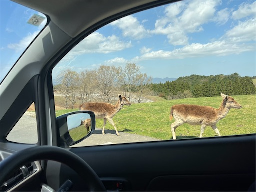 f:id:aso414:20250501110029j:image