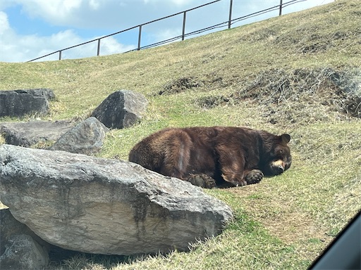 f:id:aso414:20250501110055j:image