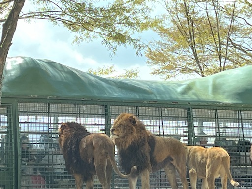 f:id:aso414:20250501110100j:image