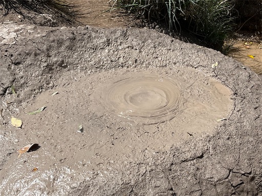 f:id:aso414:20250501110125j:image