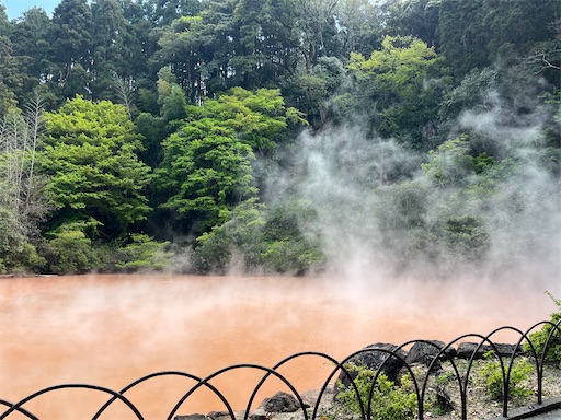 f:id:aso414:20250501110239j:image