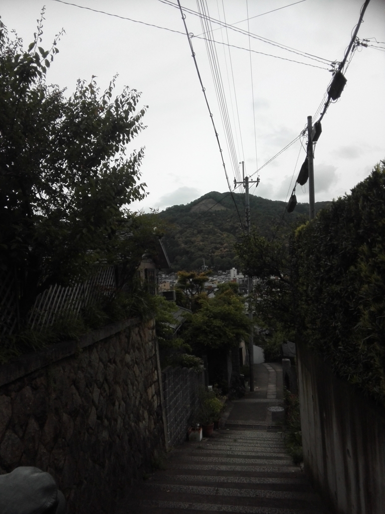 f:id:asobitokuda:20180513171859j:plain