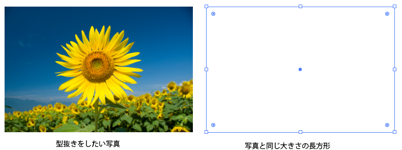 f:id:asobitukusou:20201120194232p:plain