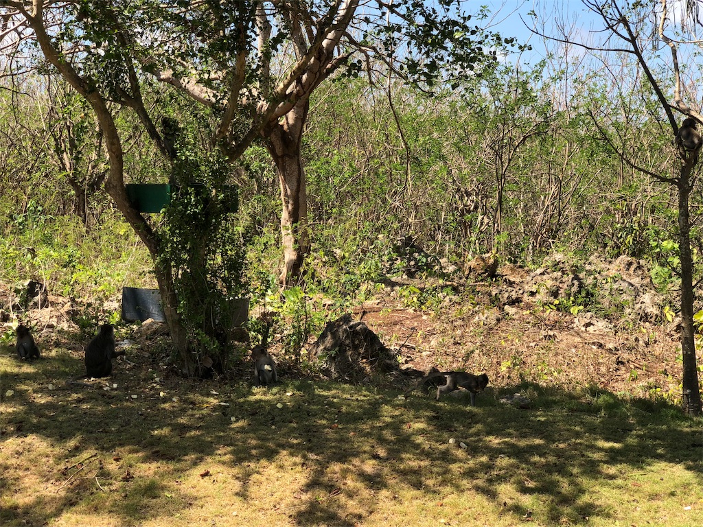 f:id:asobutakatyan:20190127181412j:image