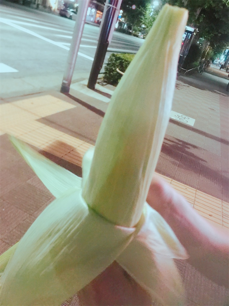 f:id:asoftgm23:20180717195222j:image f:id:asoftgm23:20180717195222j:image