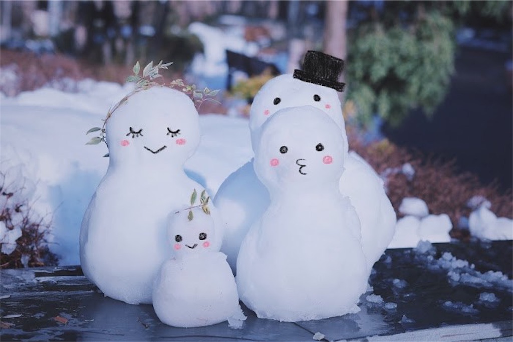 f:id:asoftgm23:20190112032528j:image f:id:asoftgm23:20190112032528j:image