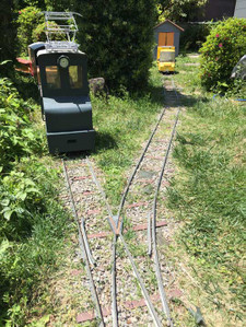 Img_3831w