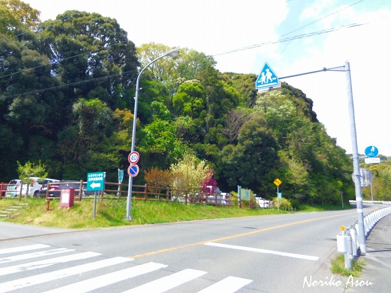 f:id:asou-ane0843:20190421185427j:plain