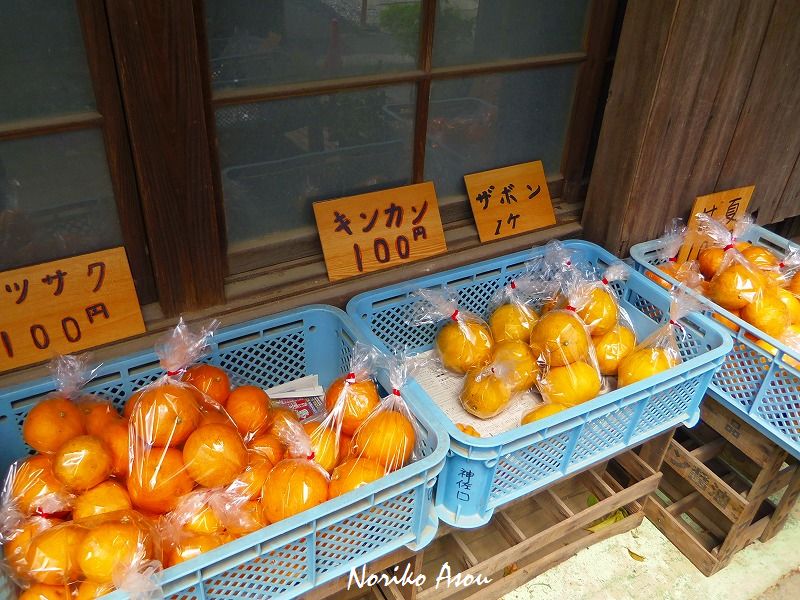 f:id:asou-ane0843:20190421185442j:plain