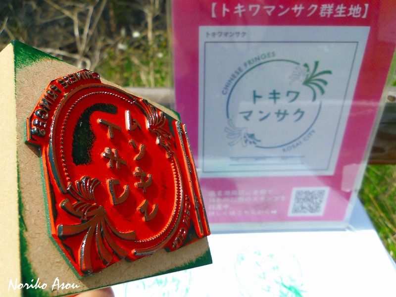 f:id:asou-ane0843:20190421185457j:plain