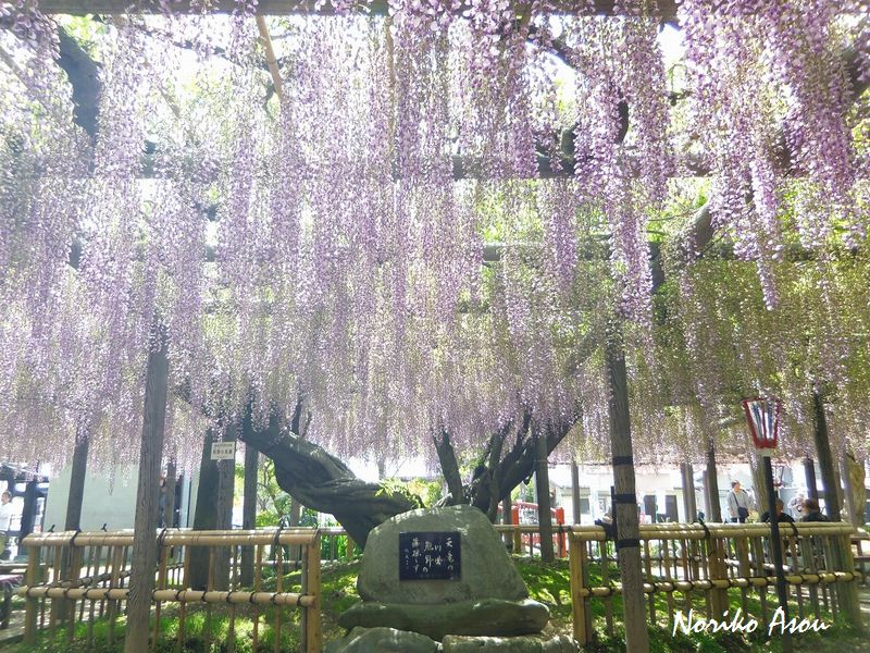 f:id:asou-ane0843:20190430180346j:plain
