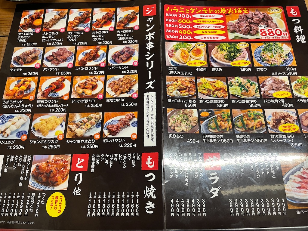 活動歴および当時の関連ビジュアル記録