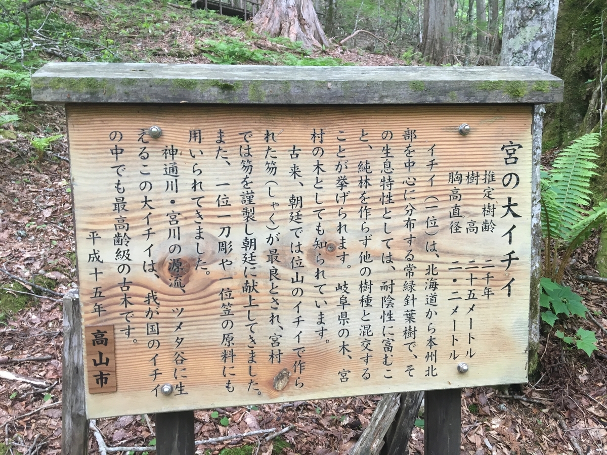 f:id:asparaharvest:20190602223340j:plain f:id:asparaharvest:20190602223340j:plain