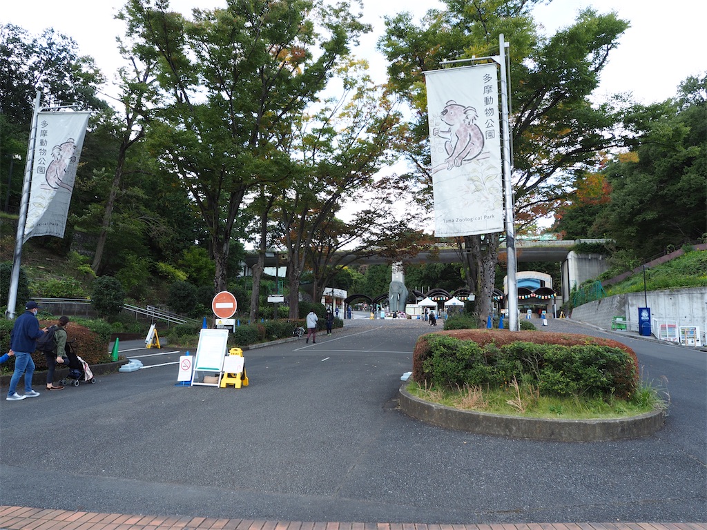 f:id:asparaharvest:20201104202418j:plain f:id:asparaharvest:20201104202418j:plain