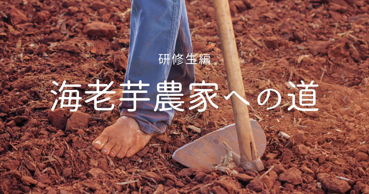 f:id:aspec7:20210516154134p:plain