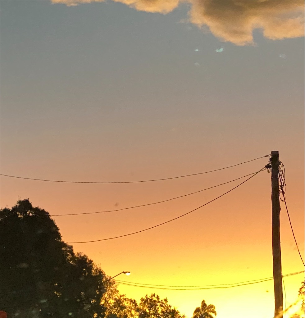 f:id:aspergerlife:20231206101927j:image f:id:aspergerlife:20231206101927j:image