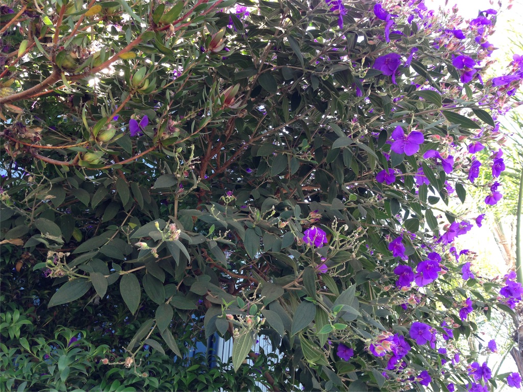 f:id:asquita:20160918030935j:image