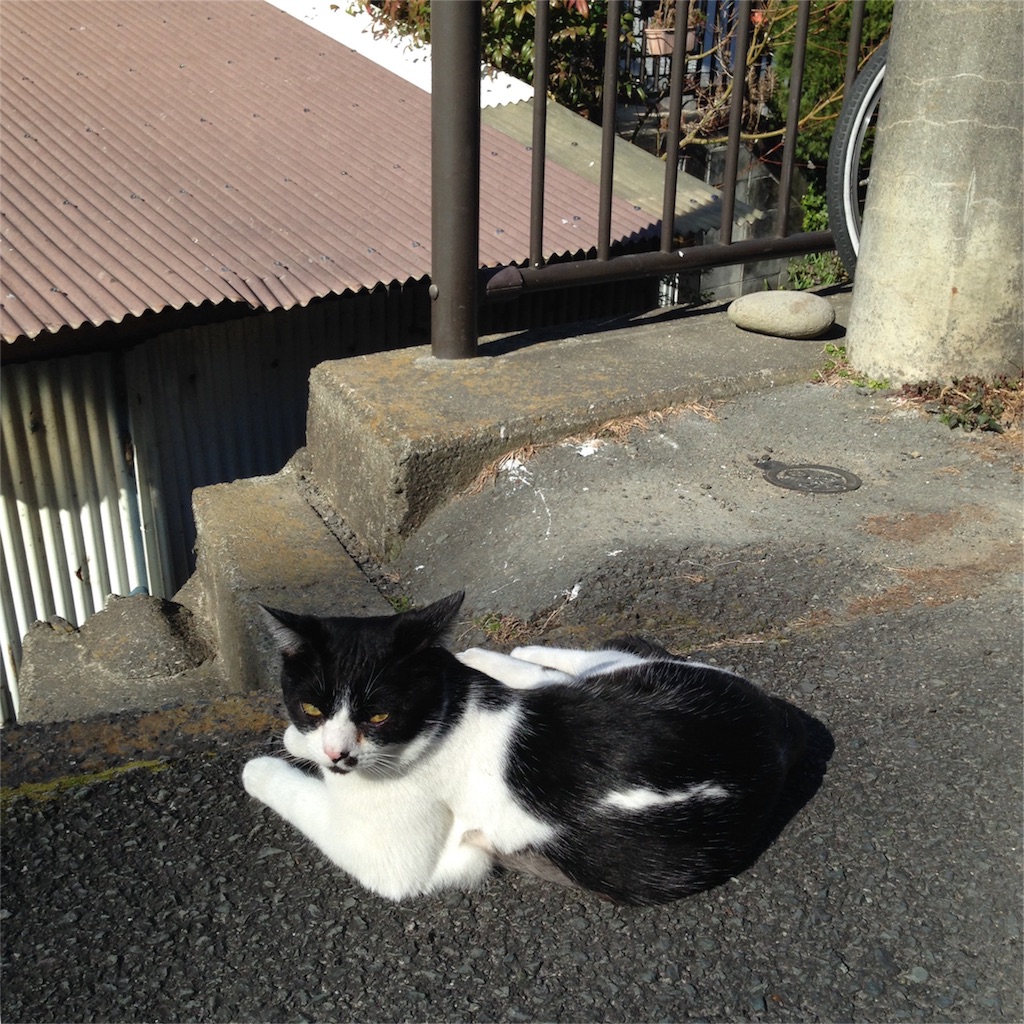 f:id:asquita:20170129104239j:image f:id:asquita:20170129104239j:image