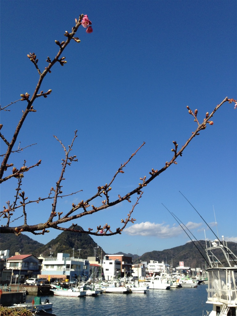 f:id:asquita:20170129104415j:image f:id:asquita:20170129104415j:image