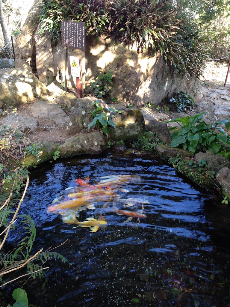 f:id:asquita:20170129104650j:image