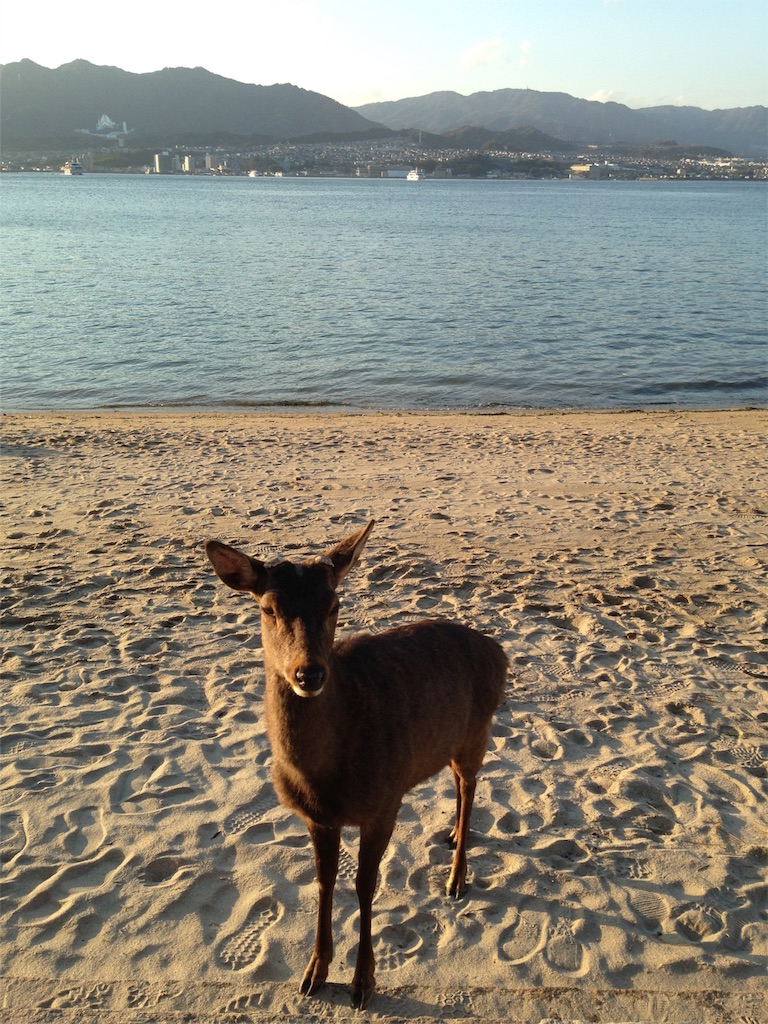 f:id:asquita:20170314133055j:image