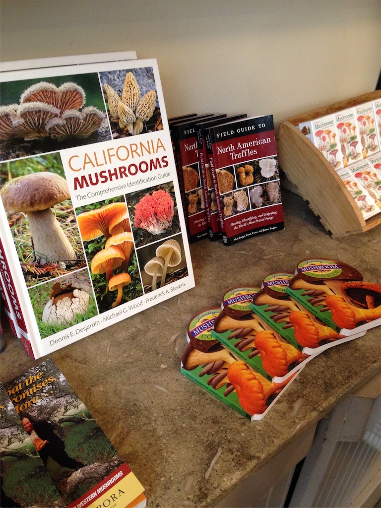 f:id:asquita:20171005060207j:image f:id:asquita:20171005060207j:image