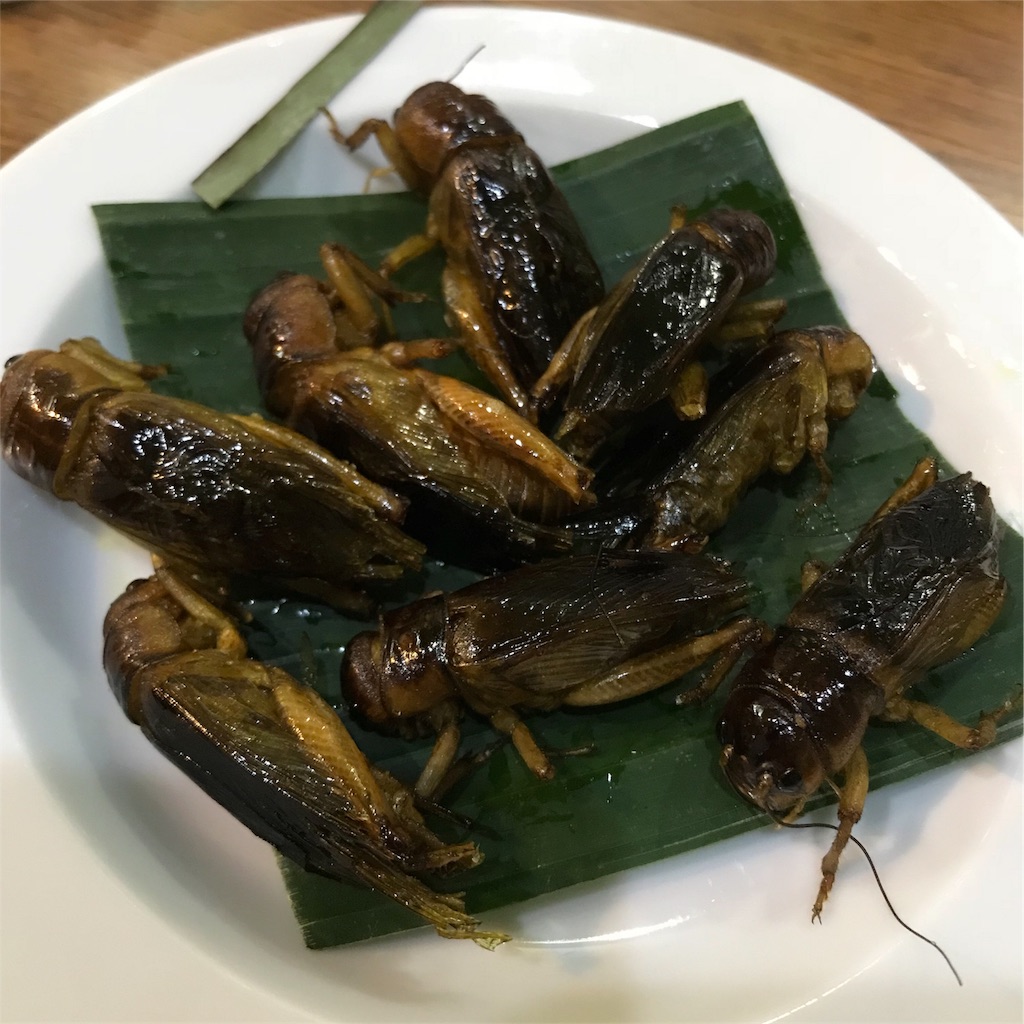 f:id:asquita:20180821131144j:image